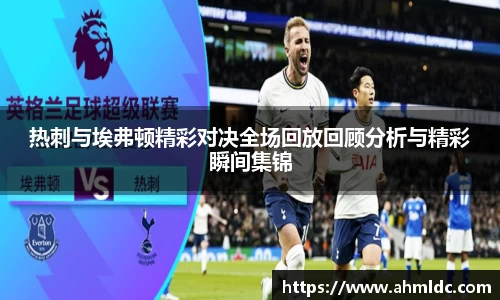 热刺与埃弗顿精彩对决全场回放回顾分析与精彩瞬间集锦