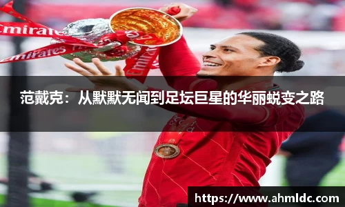 范戴克：从默默无闻到足坛巨星的华丽蜕变之路